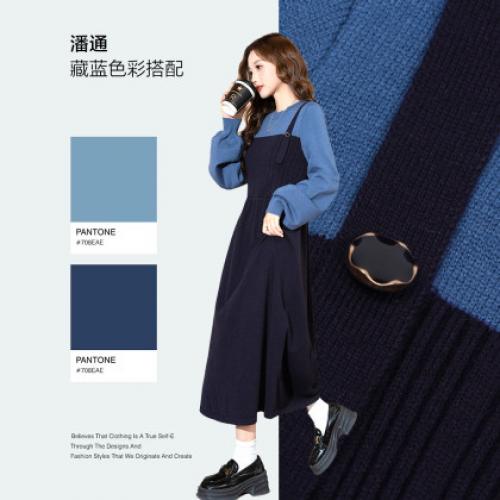 唐狮2026秋冬季女长袖连衣裙圆领背心假两件内搭外穿时尚休闲风