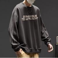 唐狮2026春秋男士圆领卫衣设计感美式青少年简约休闲慵懒宽松上衣